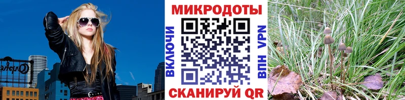 купить закладку  Александровск  Галлюциногенные грибы ЛСД 
